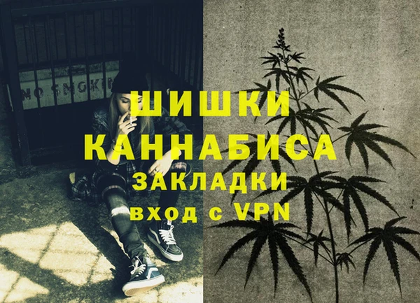 скорость Гусев
