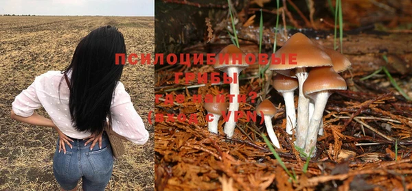 меф VHQ Горнозаводск