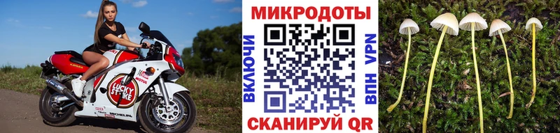 Галлюциногенные грибы GOLDEN TEACHER  Чегем 